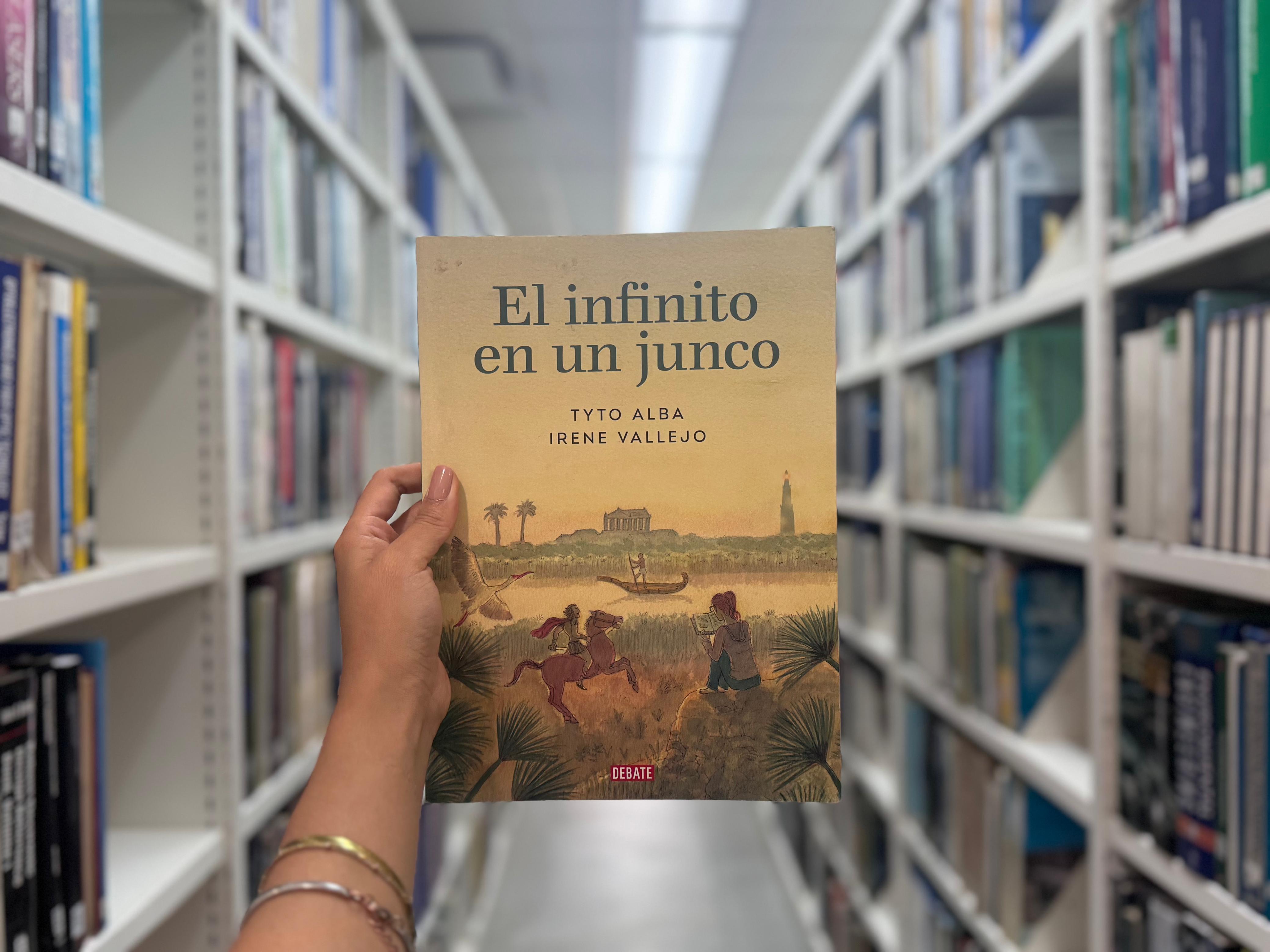 el infinito en un junco