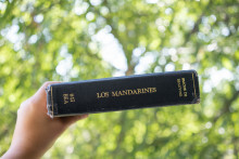 Los mandarines