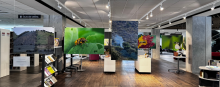 bioresiliencia