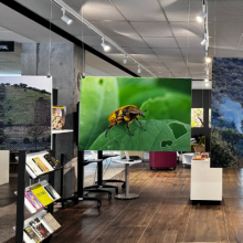 Bio-resiliencia: más allá del paisaje agavero